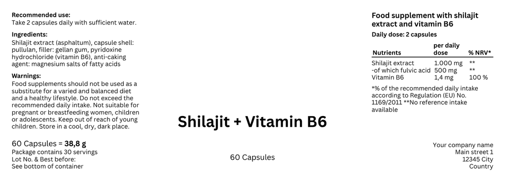 Nedvita Wellness Shilajit + Vitamin B6 60 Capsules