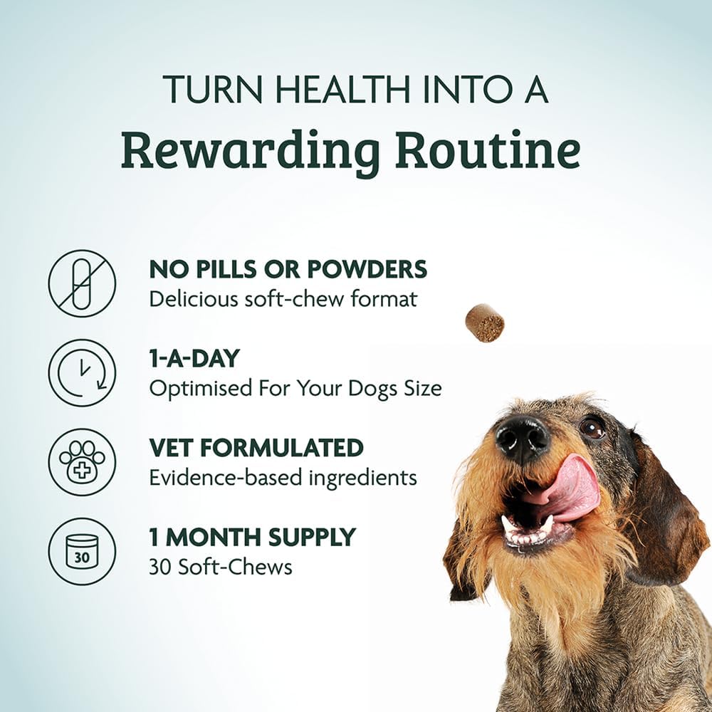 Omni Irritated Skin Relief Supplement - Dragons’ Den Winners, One-a-Day Supplements with Algae to Help Protect and Hydrate the Skin, Allergy Relief for Dogs, 30 Servings, Large 30+ Kg