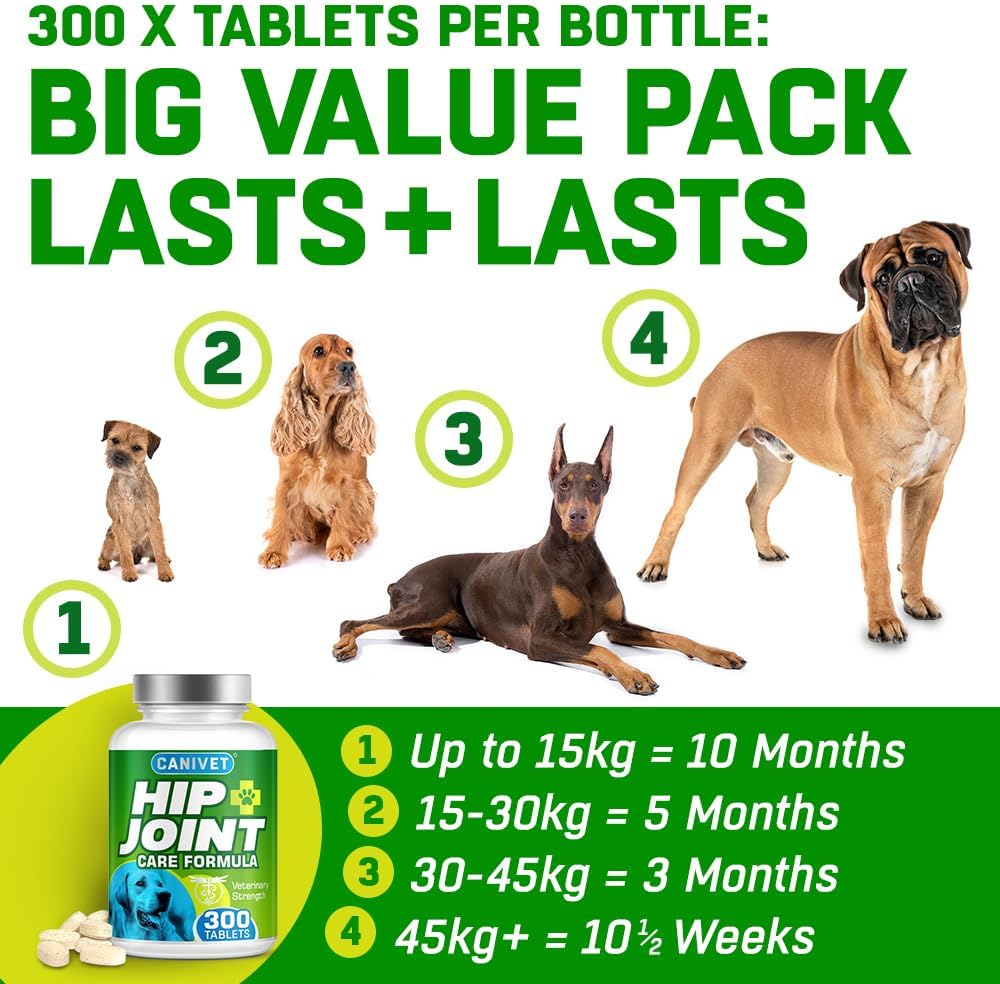 HIP and JOINT Supplements for Dogs | Glucosamine, Green Lipped Mussel, Chondroitin, MSM & Hyaluronic Acid | Mobility Support for Senior Dogs & Stiff Joints | Made in UK | 300 Tablets