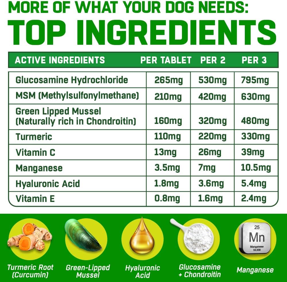 HIP and JOINT Supplements for Dogs | Glucosamine, Green Lipped Mussel, Chondroitin, MSM & Hyaluronic Acid | Mobility Support for Senior Dogs & Stiff Joints | Made in UK | 300 Tablets