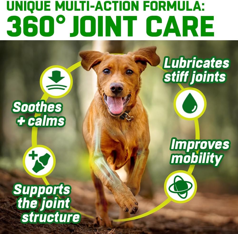 HIP and JOINT Supplements for Dogs | Glucosamine, Green Lipped Mussel, Chondroitin, MSM & Hyaluronic Acid | Mobility Support for Senior Dogs & Stiff Joints | Made in UK | 300 Tablets