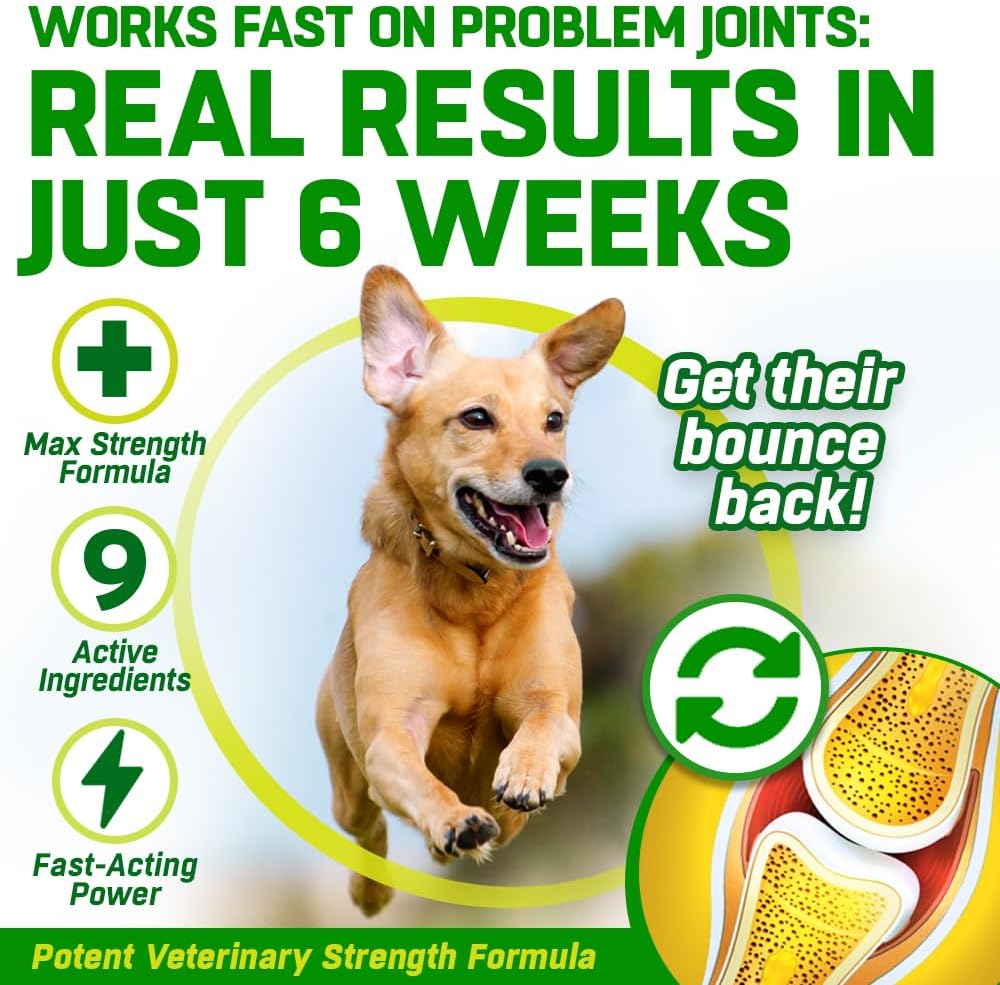 HIP and JOINT Supplements for Dogs | Glucosamine, Green Lipped Mussel, Chondroitin, MSM & Hyaluronic Acid | Mobility Support for Senior Dogs & Stiff Joints | Made in UK | 300 Tablets