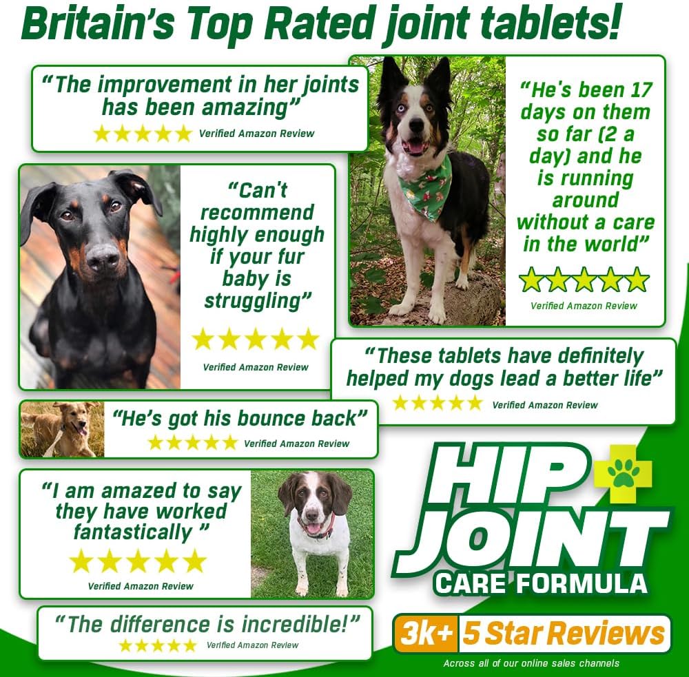 HIP and JOINT Supplements for Dogs | Glucosamine, Green Lipped Mussel, Chondroitin, MSM & Hyaluronic Acid | Mobility Support for Senior Dogs & Stiff Joints | Made in UK | 300 Tablets
