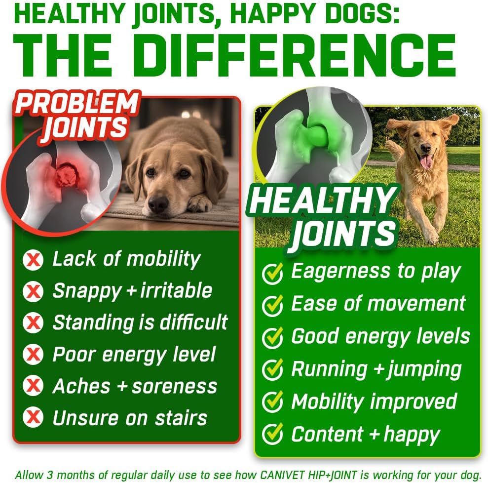 HIP and JOINT Supplements for Dogs | Glucosamine, Green Lipped Mussel, Chondroitin, MSM & Hyaluronic Acid | Mobility Support for Senior Dogs & Stiff Joints | Made in UK | 300 Tablets