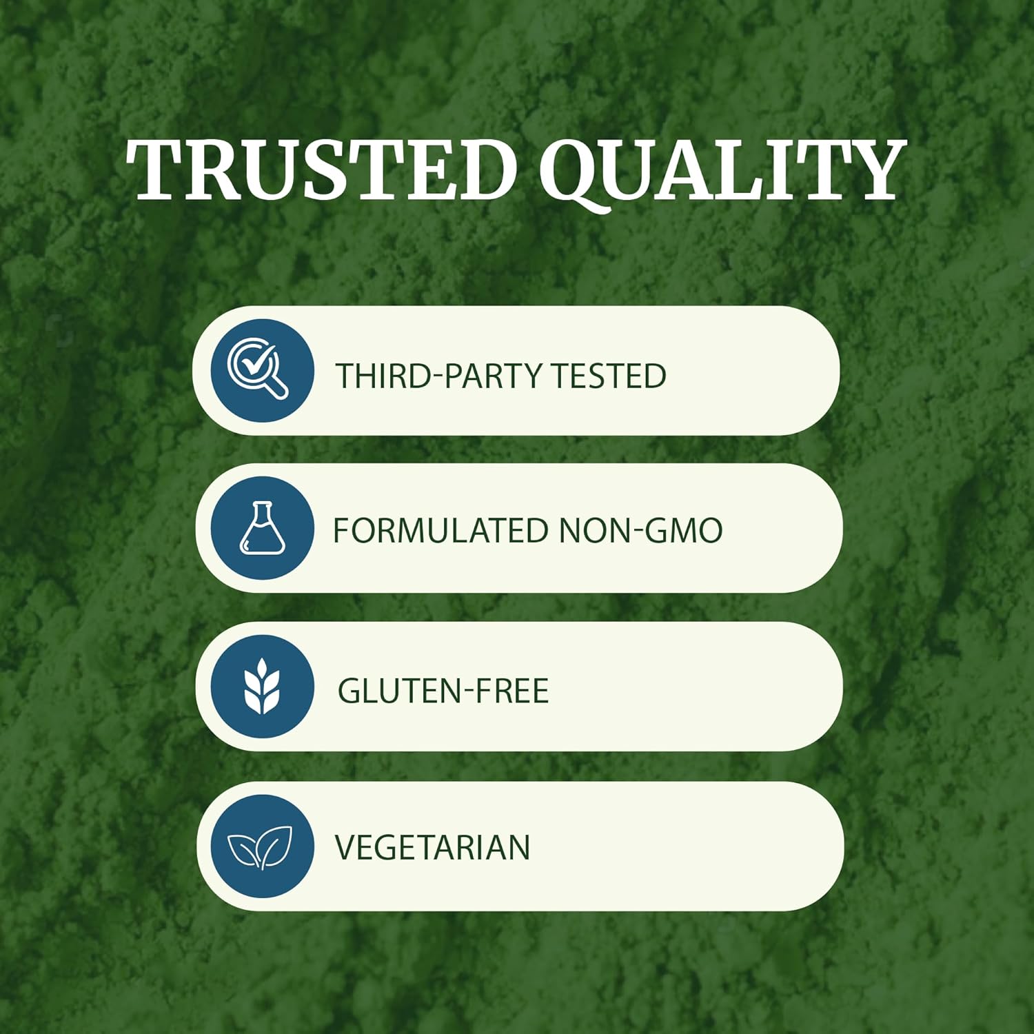 Moringa Capsules 5000mg – Natural Energy & Immune Support