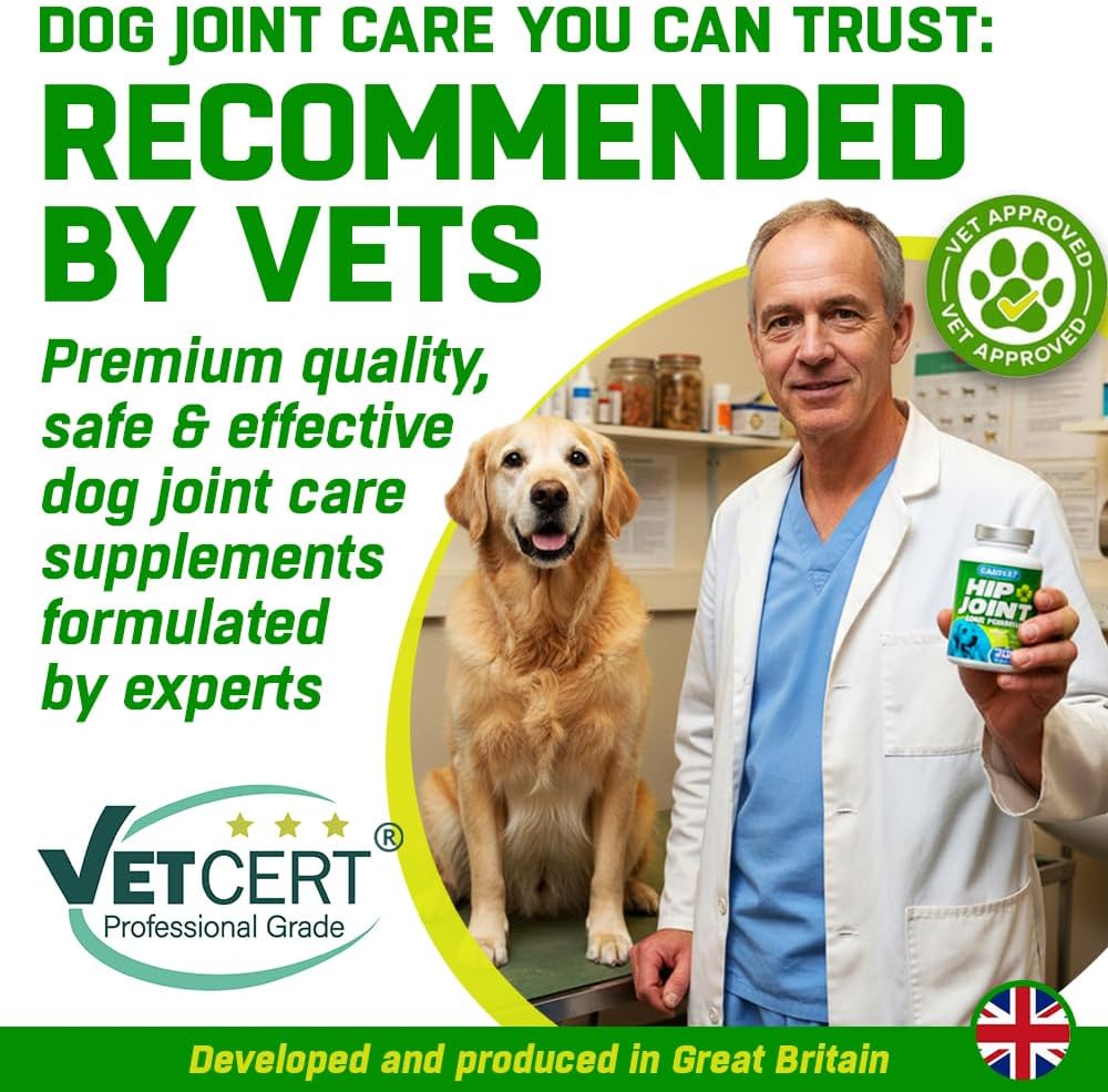 HIP and JOINT Supplements for Dogs | Glucosamine, Green Lipped Mussel, Chondroitin, MSM & Hyaluronic Acid | Mobility Support for Senior Dogs & Stiff Joints | Made in UK | 300 Tablets