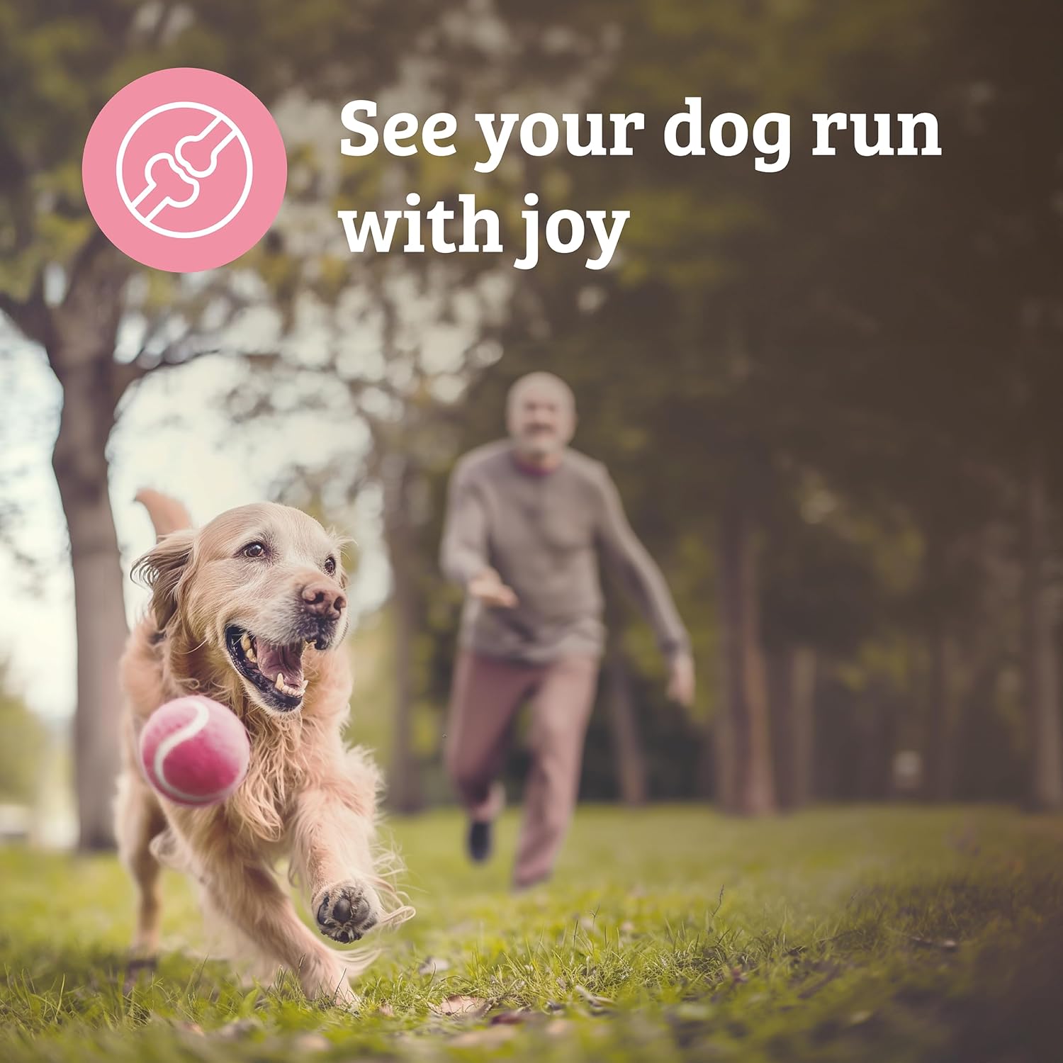 Omni Joint Supplements for Dogs – 30 Chews, Glucosamine, Hyaluronic Acid & Omega-3