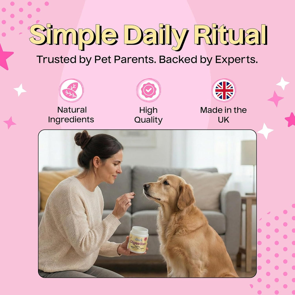 Drool Pet Products | Digestive Supplements for Dogs | Probiotics & Fibre for Dogs Gut Health | Natural Dog Digestive Supplements with Biotics for Stomach Relief | 180g (60 Chews)