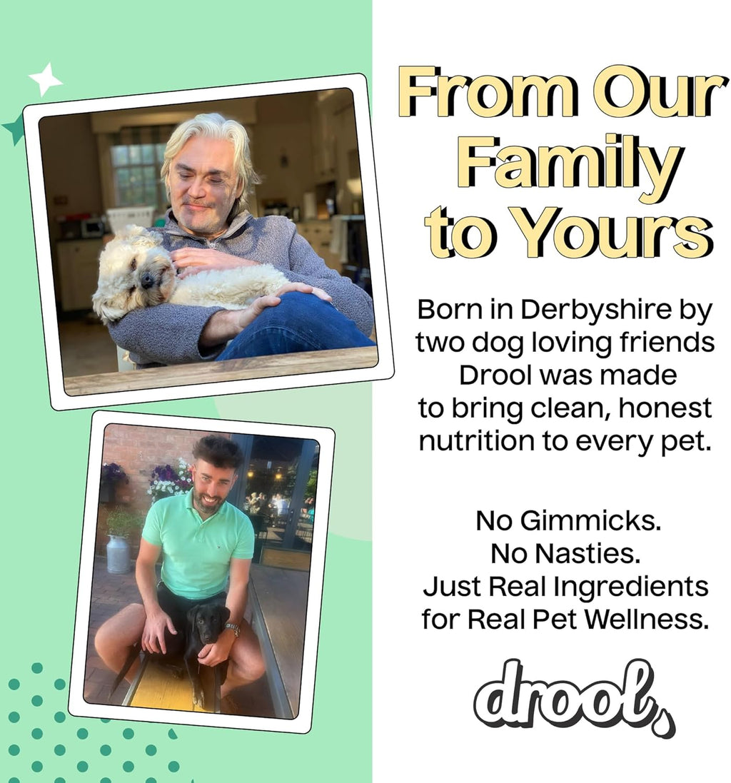 Drool Pet Products | Digestive Supplements for Dogs | Probiotics & Fibre for Dogs Gut Health | Natural Dog Digestive Supplements with Biotics for Stomach Relief | 180g (60 Chews)