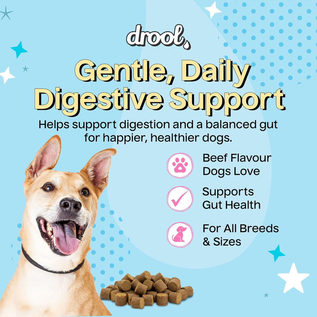 Drool Pet Products | Digestive Supplements for Dogs | Probiotics & Fibre for Dogs Gut Health | Natural Dog Digestive Supplements with Biotics for Stomach Relief | 180g (60 Chews)