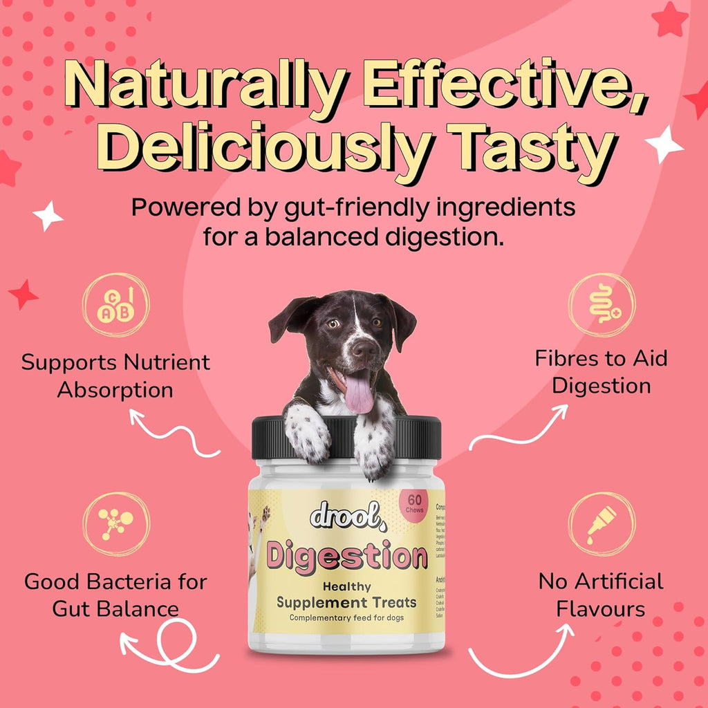 Drool Pet Products | Digestive Supplements for Dogs | Probiotics & Fibre for Dogs Gut Health | Natural Dog Digestive Supplements with Biotics for Stomach Relief | 180g (60 Chews)