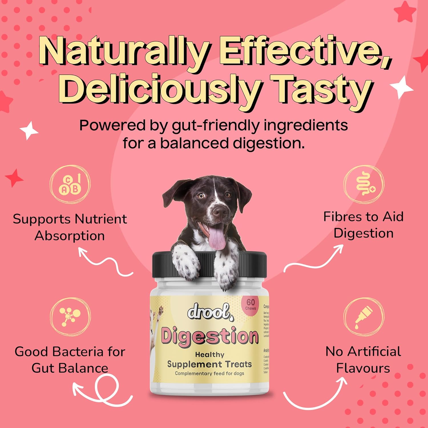 Drool Pet Products | Digestive Supplements for Dogs | Probiotics & Fibre for Dogs Gut Health | Natural Dog Digestive Supplements with Biotics for Stomach Relief | 180g (60 Chews)