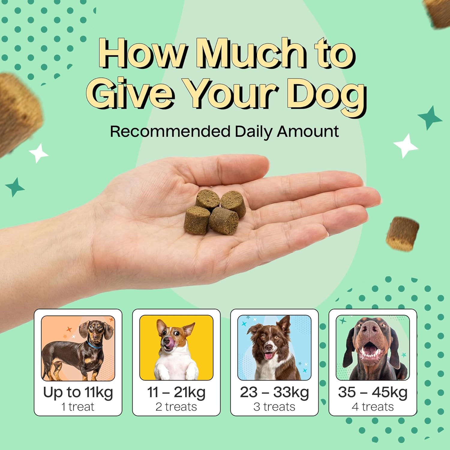 Drool Pet Products | Digestive Supplements for Dogs | Probiotics & Fibre for Dogs Gut Health | Natural Dog Digestive Supplements with Biotics for Stomach Relief | 180g (60 Chews)