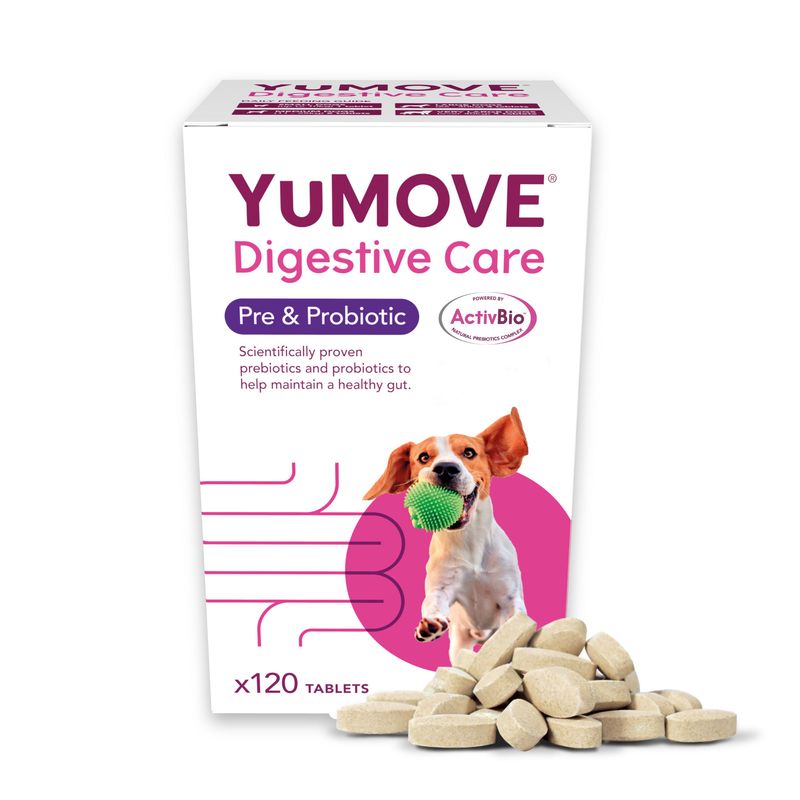 YuMOVE Digestive Care for Dogs – 120 Tablets, Pre & Probiotic