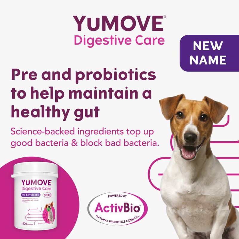 YuMOVE Digestive Care for Dogs – 120 Tablets, Pre & Probiotic