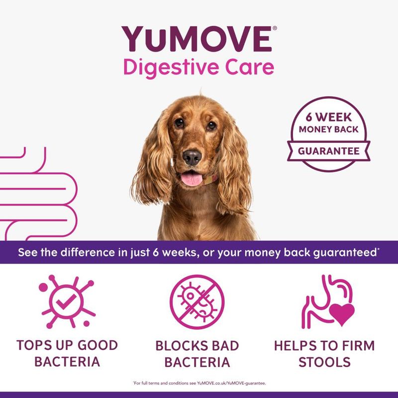 YuMOVE Digestive Care for Dogs – 120 Tablets, Pre & Probiotic