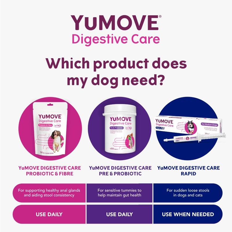 YuMOVE Digestive Care for Dogs – 120 Tablets, Pre & Probiotic